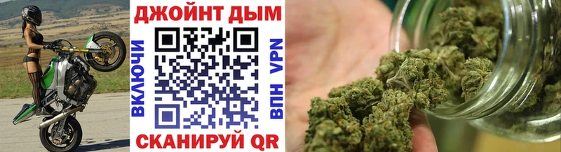 Купить закладки  Рошаль  Бошки марихуана конопля 